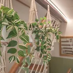 La Casetta. Feel At Home. Кастельфидардо