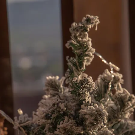 La Casetta. Feel At Home. Castelfidardo