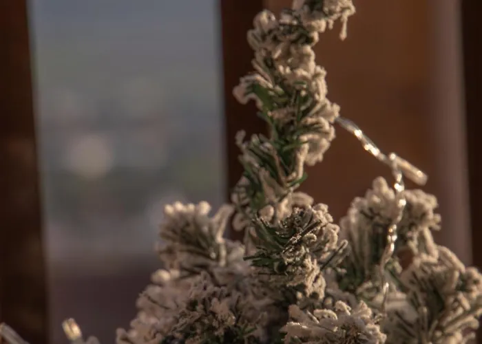 La Casetta. Feel At Home. Castelfidardo